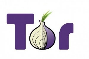 Tor r�siste toujours � la NSA