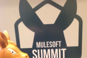 Gestion des API : MuleSoft veut connecter les services cloud