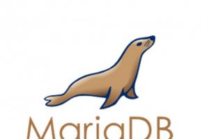 SkySQL a lev� 20 M$ pour amener MariaDB plus loin