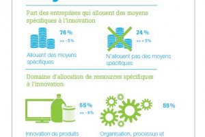 Les dirigeants d'entreprises franaises croient davantage  l'innovation