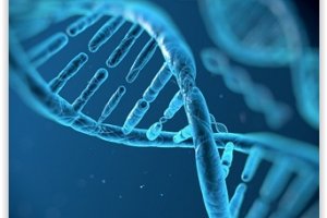 Des donnes numriques encodes et stockes dans de l'ADN
