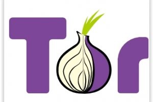 Cybercriminalit : L'usage de Tor a explos de 1 000%