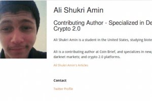 Un ado condamn� � 11 ans de prison pour avoir soutenu l'Etat Islamiste sur Twitter