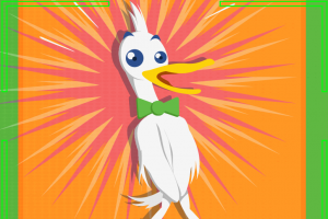 La confidentialit des recherches dans DuckDuckGo perce dans un hackathon