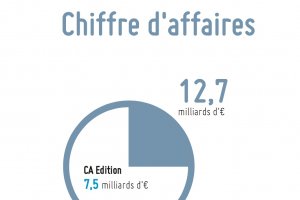 Truffle 100 France : +13,6% de croissance pour l'dition logicielle en 2015