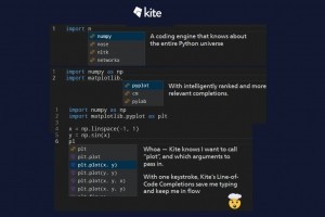 La derni�re version de Kite peut sugg�rer un appel de fonction complet, avec ses arguments. (Cr�dit : Kite)