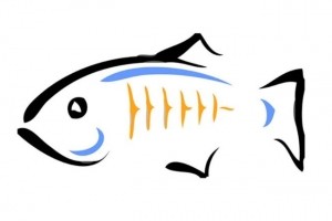 Eclipse livre GlassFish 5.1 pour Java EE 8