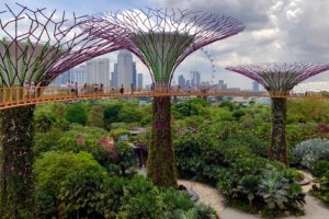 Singapour va investir 1 Md$ dans la smart city en 2019