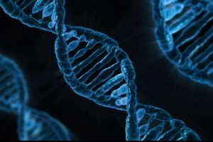 Analyse ADN : La start-up Veritas Genetics pirate
