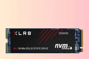 Test PNY XLR8 CS3030 NVMe : capacit� flash � prix serr�