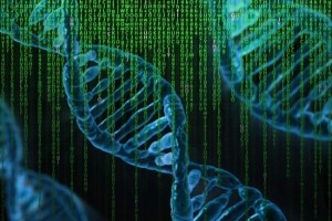 L'accs au code source d'un logiciel d'analyse ADN  la barre