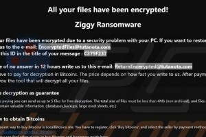 Le gang du ransomware Ziggy veut rembourser ses victimes
