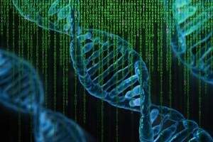 Telex : Assembler un g�nome entier sur son PC, Ada Tech School l�ve 3 M&euro;, Glassdoor acquiert Fishbowl