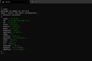 Node.js 17 nourri aux API promesses et OpenSSL 3.0