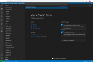 La version web de Microsoft Visual Studio Code en bta