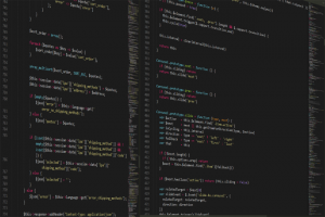 Concurren�ant Git, Pijul est entr� en phase beta. (Cr�dit Photo : Boskampi/Pixabay)