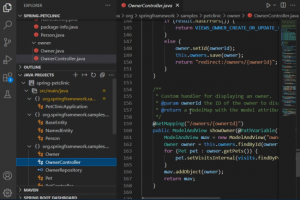 Microsoft dresse la feuille de route Java pour Visual Studio Code