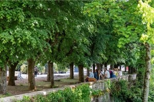 Smart City : Dijon Métropole cherche start-ups pour inventorier le patrimoine arboré