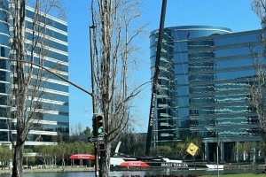 Oracle continue de licencier aux �tats-Unis