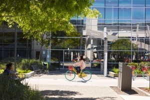 Les employ�s de Google craignent des licenciements
