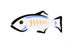 Eclipse GlassFish se met au diapason de Jakarta EE 10