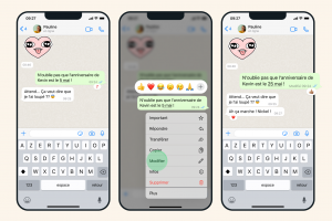 WhatsApp propose d�sormais de modifier les messages que vous avez envoy�s dans un d�lai de 15 minutes. (Cr�dit : WhatsApp)