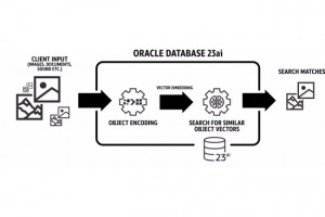 Avec Database 23ai, Oracle taille sa base de donnes pour l'IA
