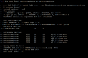 Un copier-coller  l'origine d'un problme de DNS chez Mastercard