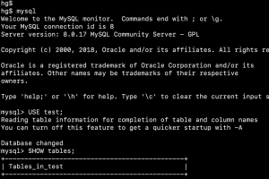MySQL : 30 ans et toujours très populaire