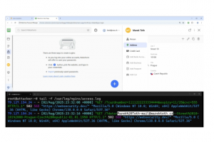 Telex : AWS lance des instances sur Xeon 6 d'Intel, Les gestionnaires de mots de passe vulnérables,  Databricks en passe de lever 1 Md$