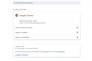 L'IA de Google détecte une faille critique dans Chrome