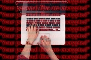 Faute de moyens, les formations en cybersécurité restent limitées