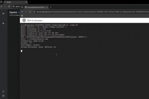 Des failles dans Gemini AI exposent  de l'injection de prompt