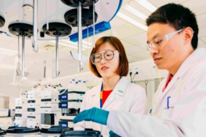 Merck accélère sa recherche de médicaments avec Siemens