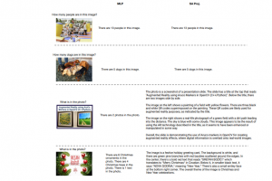 Le rentranement slectif, un atout supplmentaire pour l'IA