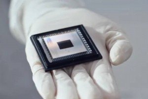 Avec Quantum Echoes et Willow, Google avance sur le quantique