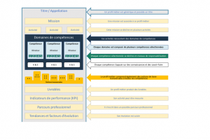 Le chief digital officer disparat du rfrentiel RH du Cigref