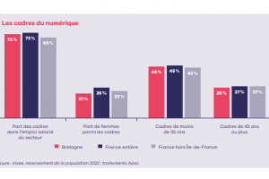 En Bretagne le dficit de profils qualifis pse sur les entreprises IT