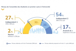 L'IT insuffisamment maitrise par les tudiants en licence