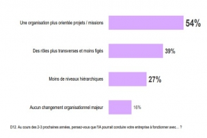 Le shadow IA se r�pand dans les entreprises fran�aises