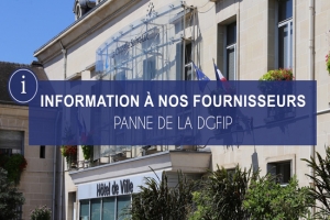 Une panne de stockage emp�che les collectivit�s locales de g�rer leurs comptes