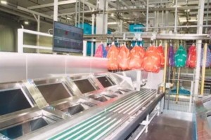 Elis f�d�re son CRM au niveau mondial