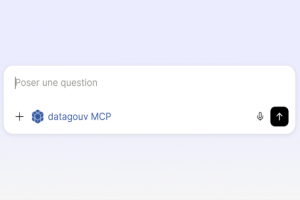 Data.gouv.fr exp�rimente un serveur MCP