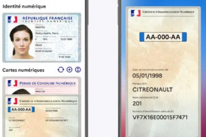 La fraude aux cartes grises favoris�e � cause d'un syst�me obsol�te