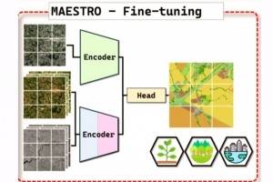 L'IGN d�veloppe un mod�le IA pour observer les for�ts fran�aises