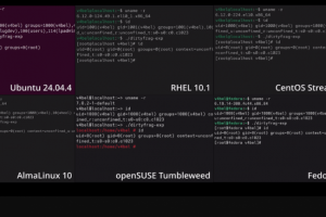 Pol�mique autour d'un kill switch pour le noyau Linux