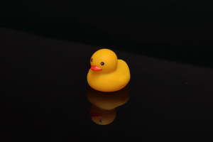 AWS annonce le rachat de DuckLabs, le mod�le open source sera pr�serv�