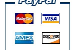PayPal ouvre un service de paiement par carte de crdit virtuelle