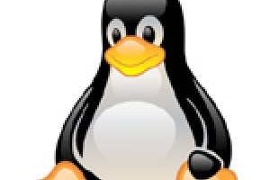 Linux : fin prochaine des probl�mes de pilotes ?