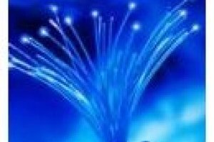 Internet : Le succs de la fibre optique en quinze mesures